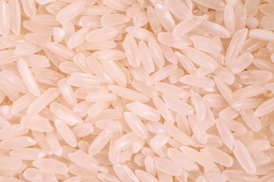 goya jasmine rice instructions